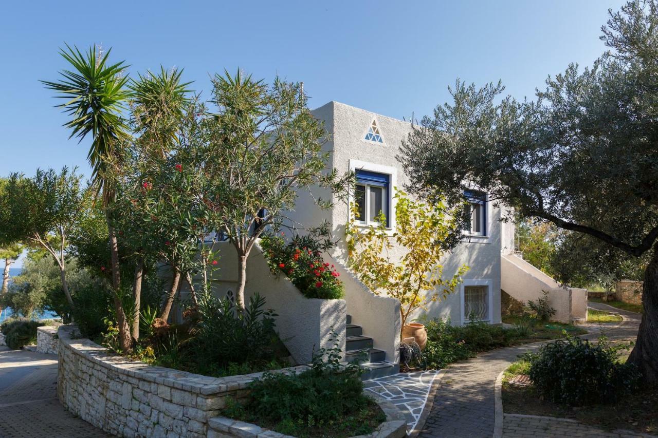 Into The Blue Villa Arkadiko Chorio Экстерьер фото