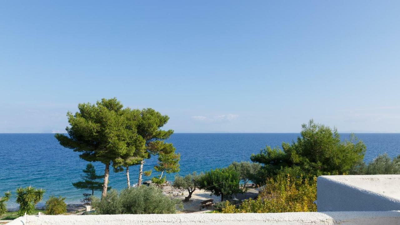 Into The Blue Villa Arkadiko Chorio Экстерьер фото