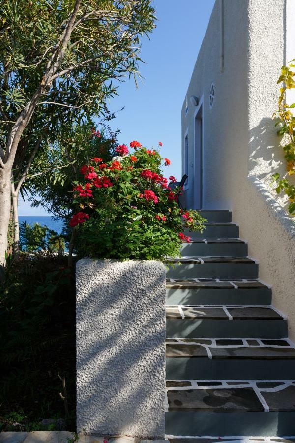 Into The Blue Villa Arkadiko Chorio Экстерьер фото